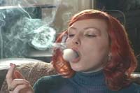 {short description of image}