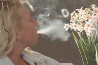 {short description of image}