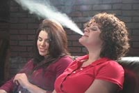 {short description of image}